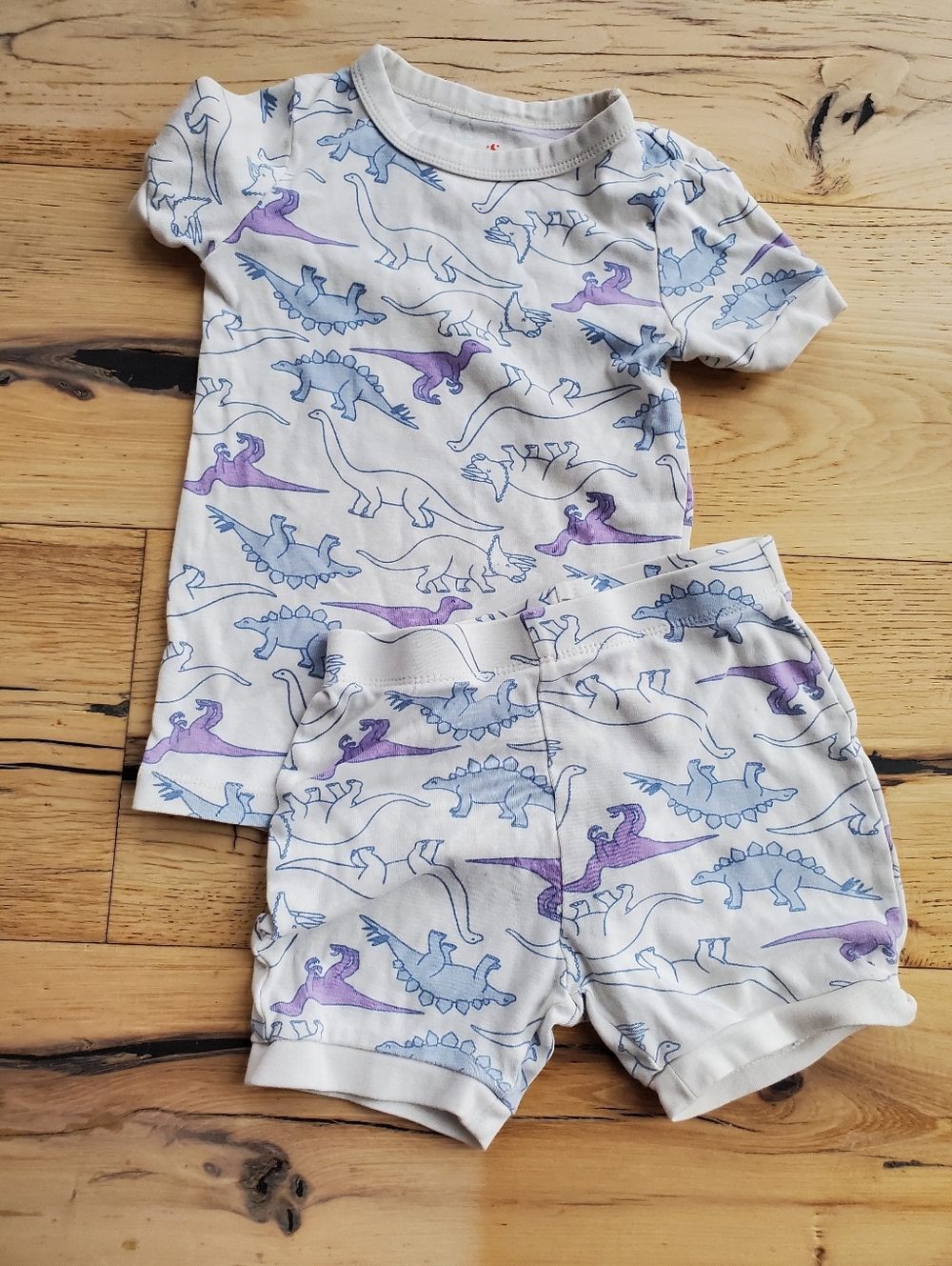 Joe Fresh White Pajama Set with Blue and Purple Dinosaurs